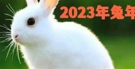 戊己土之日2023|2023兔年，哪些人會持續有好運？